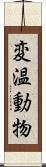 変温動物 Scroll