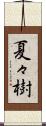 夏々樹 Scroll
