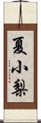 夏小梨 Scroll