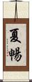 夏暢 Scroll