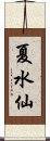 夏水仙 Scroll