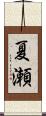 夏瀬 Scroll