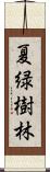 夏緑樹林 Scroll