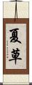 夏草 Scroll