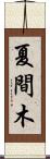 夏間木 Scroll