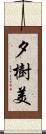 夕樹美 Scroll