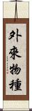 外來物種 Scroll