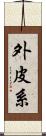 外皮系 Scroll
