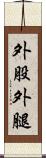 外股 Scroll