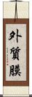 外質膜 Scroll