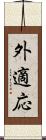 外適応 Scroll