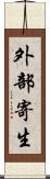 外部寄生 Scroll