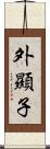 外顯子 Scroll