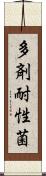 多剤耐性菌 Scroll