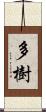 多樹 Scroll