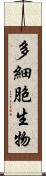 多細胞生物 Scroll