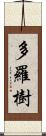 多羅樹 Scroll