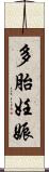 多胎妊娠 Scroll