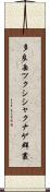 多良岳ツクシシャクナゲ群叢 Scroll