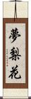 夢梨花 Scroll