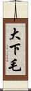大下毛 Scroll