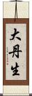 大丹生 Scroll