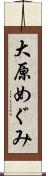 大原めぐみ Scroll