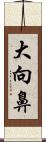 大向鼻 Scroll