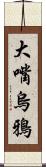 大嘴烏鴉 Scroll