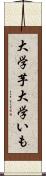 大学芋 Scroll