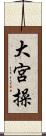大宮操 Scroll