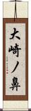 大崎ノ鼻 Scroll