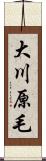 大川原毛 Scroll