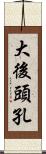 大後頭孔 Scroll