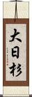 大日杉 Scroll