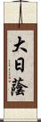 大日蔭 Scroll