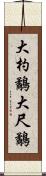 大杓鷸 Scroll