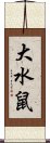 大水鼠 Scroll