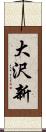 大沢新 Scroll