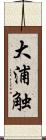 大浦触 Scroll
