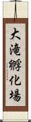 大滝孵化場 Scroll