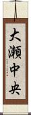 大瀬中央 Scroll