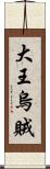 大王烏賊 Scroll