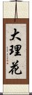 大理花 Scroll