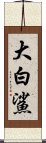 大白鯊 Scroll