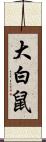 大白鼠 Scroll