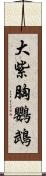 大紫胸鸚鵡 Scroll