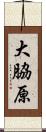 大脇原 Scroll