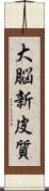 大脳新皮質 Scroll