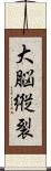 大脳縦裂 Scroll